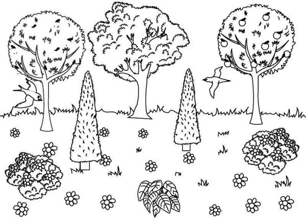 Раскраска джунгли для детей