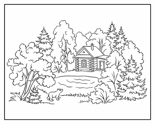 В лесу. Раскраска