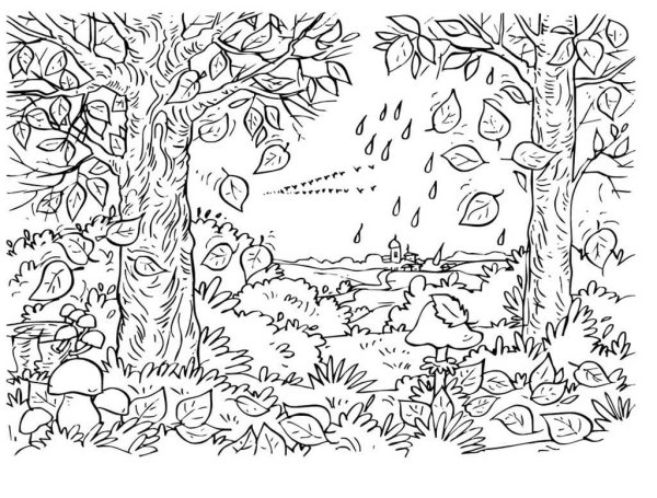 Раскраска природа