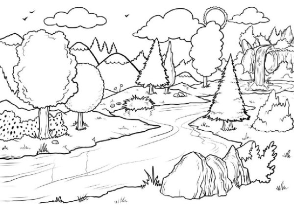 В лесу. Раскраска