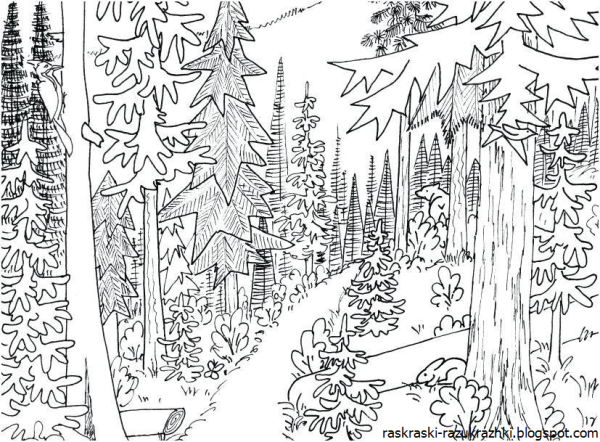 Раскраска природа для детей