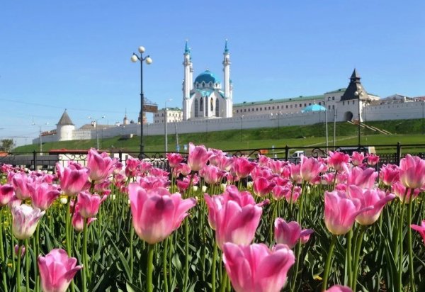 Казанский Кремль панорама города