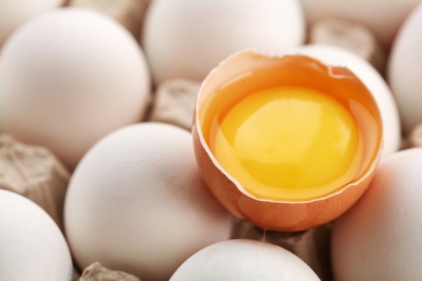 Яйцо лето фото