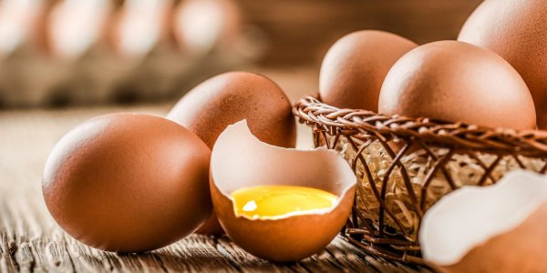 Яйцо лето фото