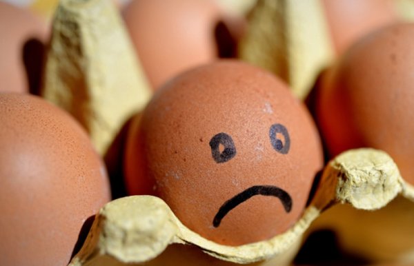 Десяток яиц