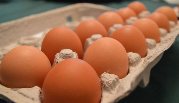 Яичница на тротуаре