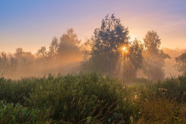 Прекрасного утра