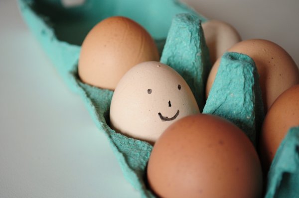 От чего зависит цвет скорлупы куриного яйца