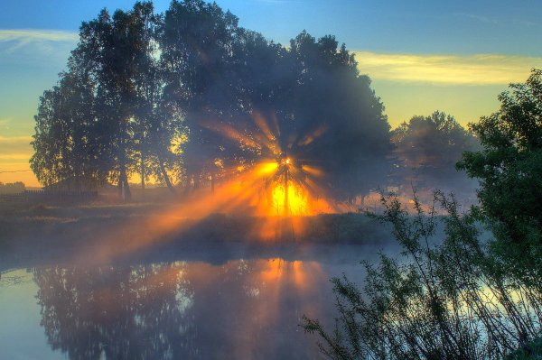 Лето здоровье