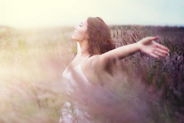 Природа Ленинградской области