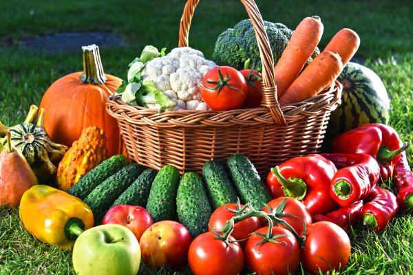 Урожай овощей и фруктов