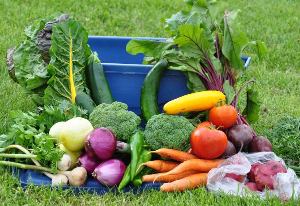 Фрукты овощи цветы