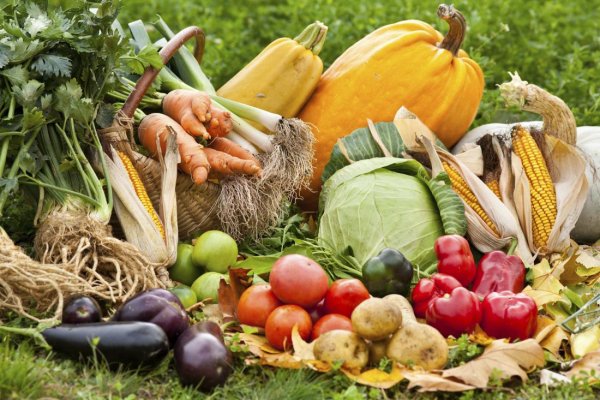 Овощи и фрукты для детей