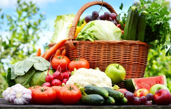 Осенний огород