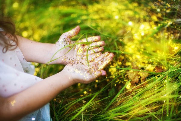 Лето в ладошках