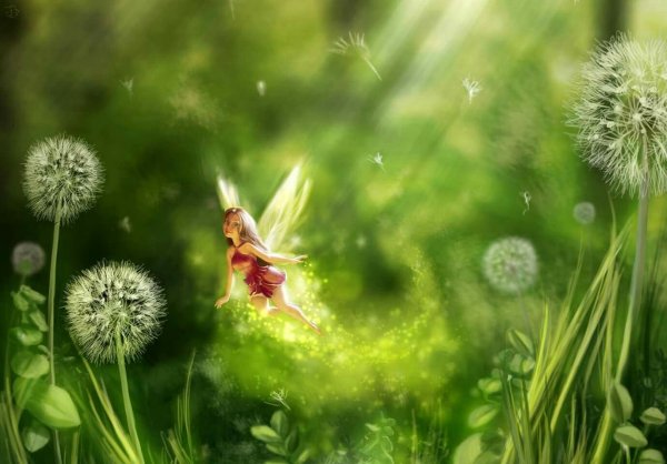 Волшебное утро