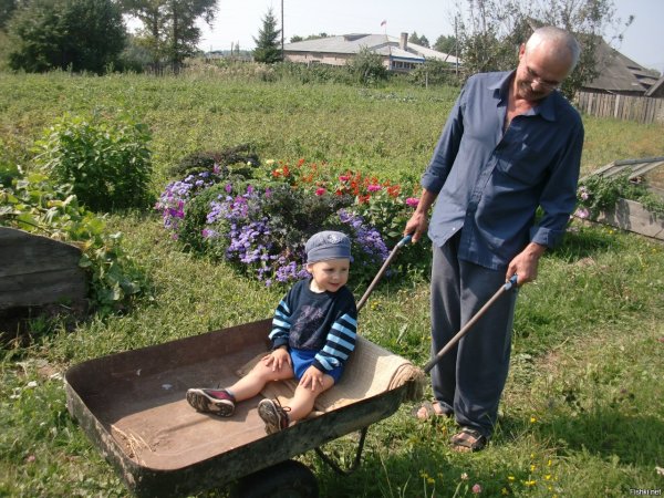 Пенсионеры с внуками