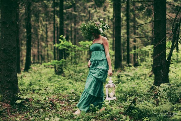 Фотосессия в хвойном лесу летом