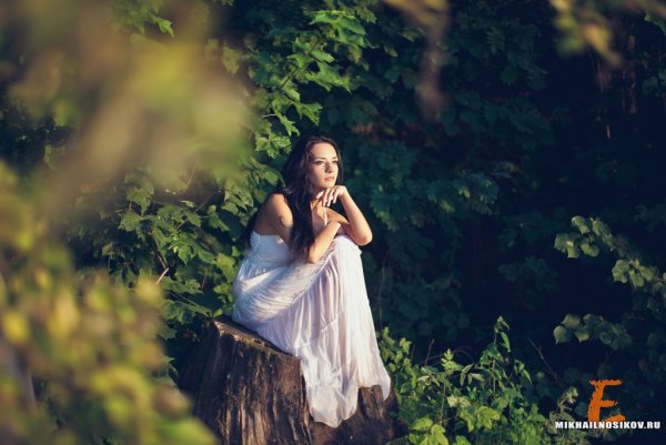 Фотосъемка в лесу