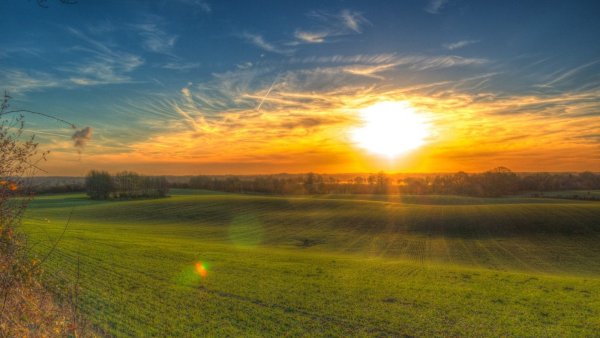 Пейзаж лето