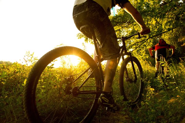 Велосипед в лесу