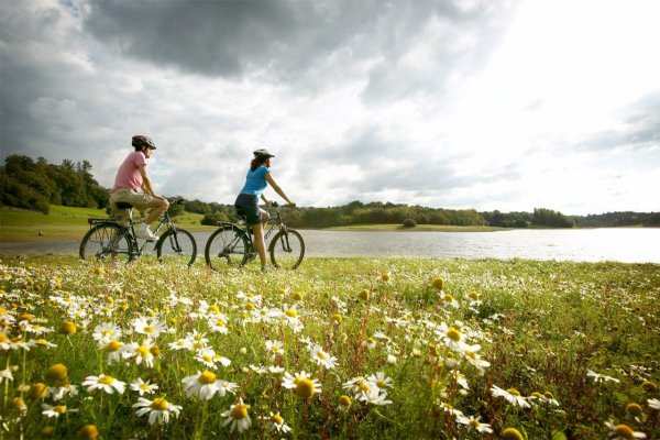 Велопрогулки на природе