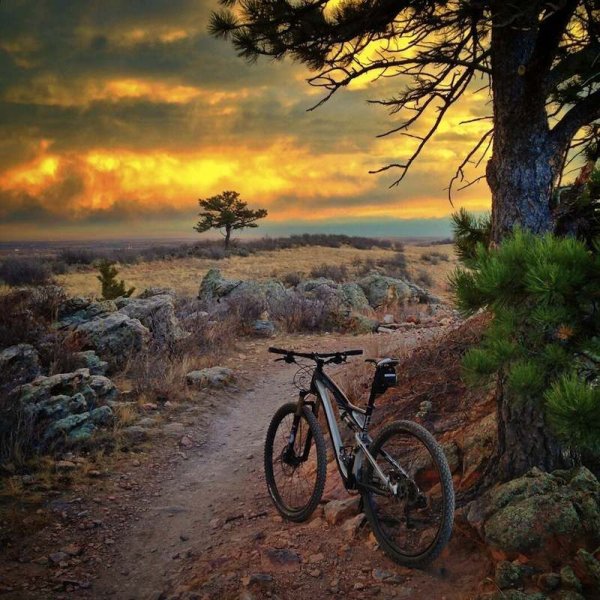 Девушка на велосипеде на море