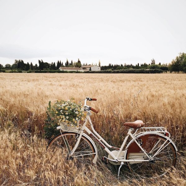 Семья на велосипедах