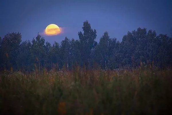 Ночная деревня летом