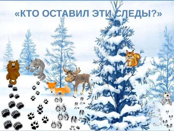 Белка зимой