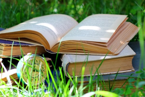 Дети летом на траве