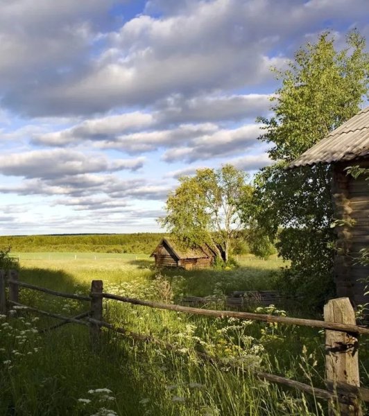 Деревня деревенька Вологодская область
