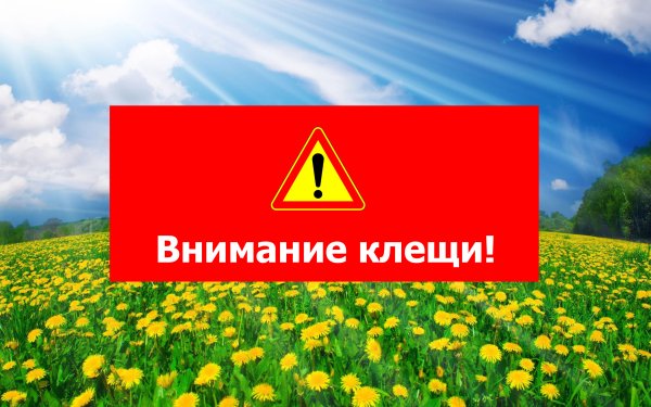 Внимание картинка