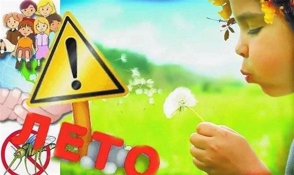 Безопасность детей в летний период