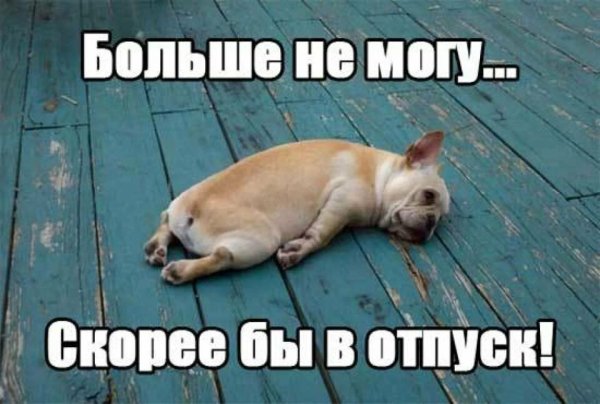 Цитаты про отпуск на море