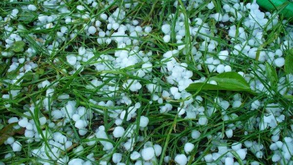 Летний град