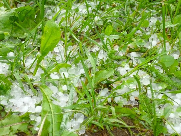 Ледяной град