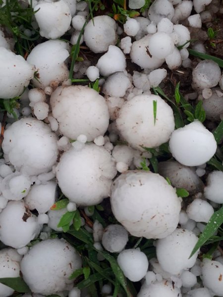 ГРАТ преродное евленее