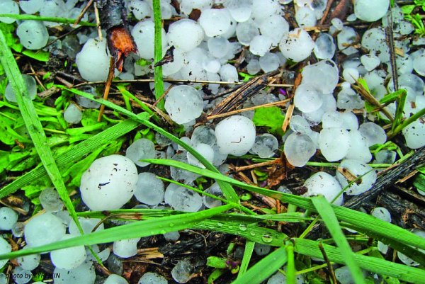 Картина град