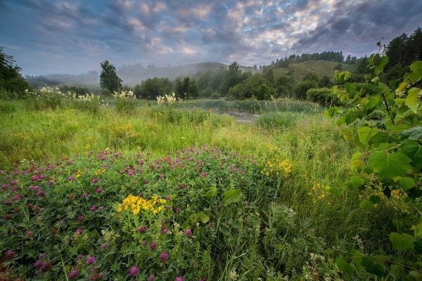 Луга Кировской области