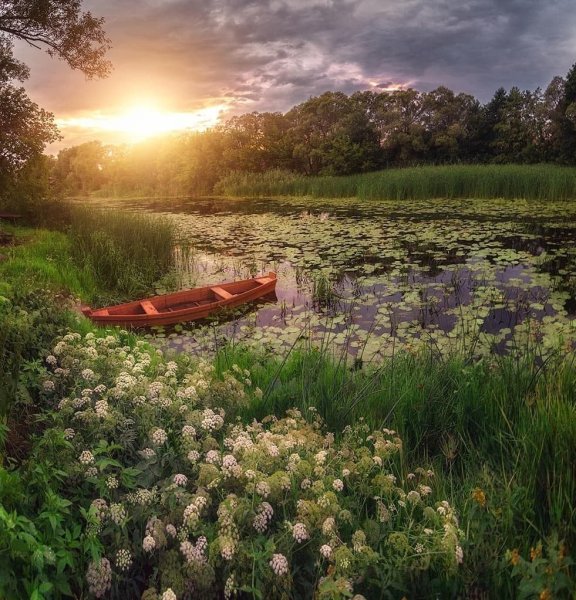 Август пейзаж