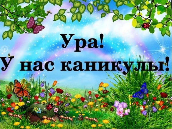 Луг с насекомыми