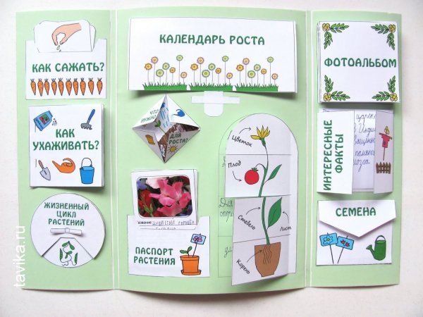 Мини книжки для лэпбука