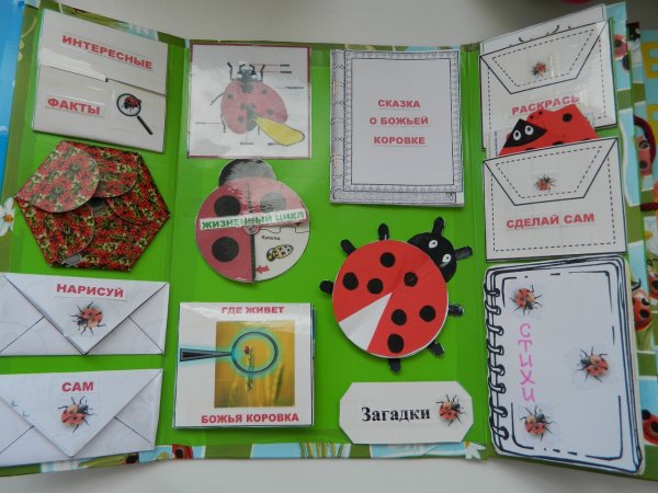 Темы для лэпбуков в детском саду