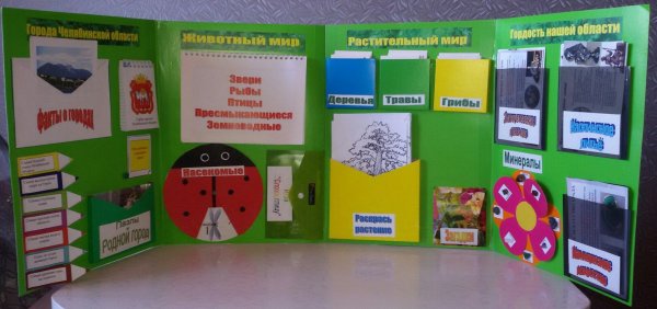 Тематические Лэпбуки для дошкольников