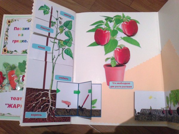 Лэпбук на тему растения