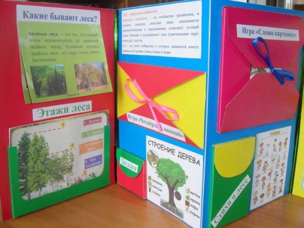 Лэпбук по окружающему миру