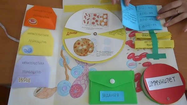 Лэпбук по биологии