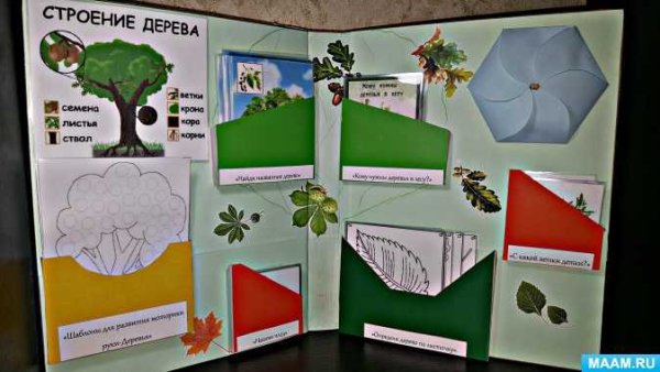 Лэпбук деревья для детского сада