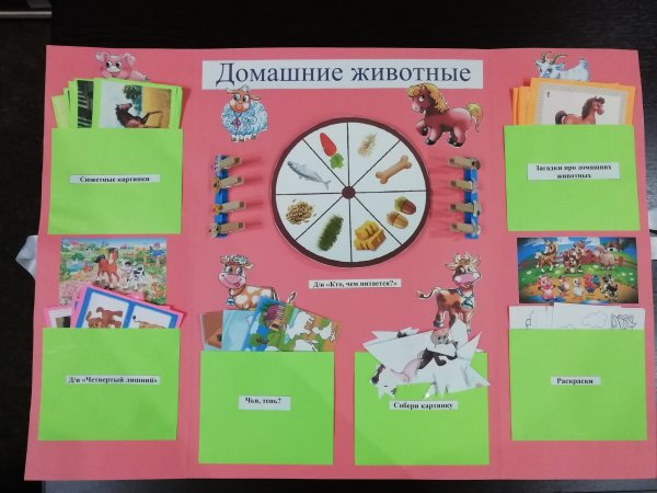 Лэпбук домашние питомцы